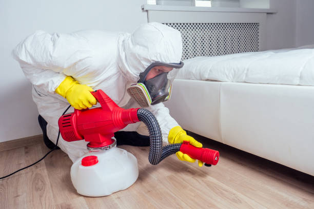 Best Fumigation Services  in Upper Grand Lagoon, FL